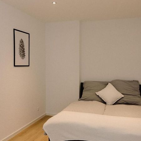 130M² Apartment Im Zentrum + Terrasse Leipzig Exterior foto